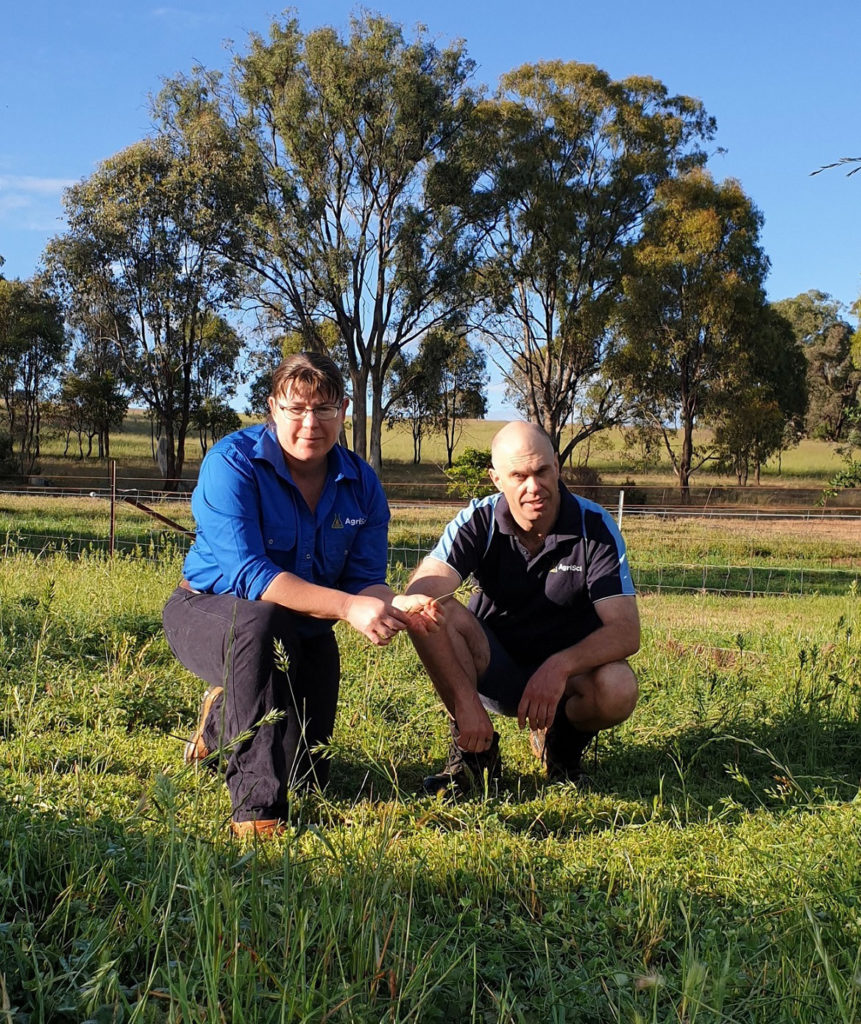 Dr Cassie Schefe and David Hawkey run agricultural research and development consultancy AgriSci.