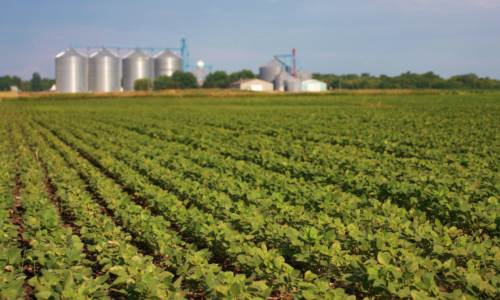 How Cooperatives Can Help Growers Improve ROI With Digital Ag in 2021
